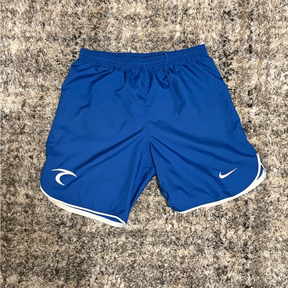 Nike Men's Royal Blue surf Shorts